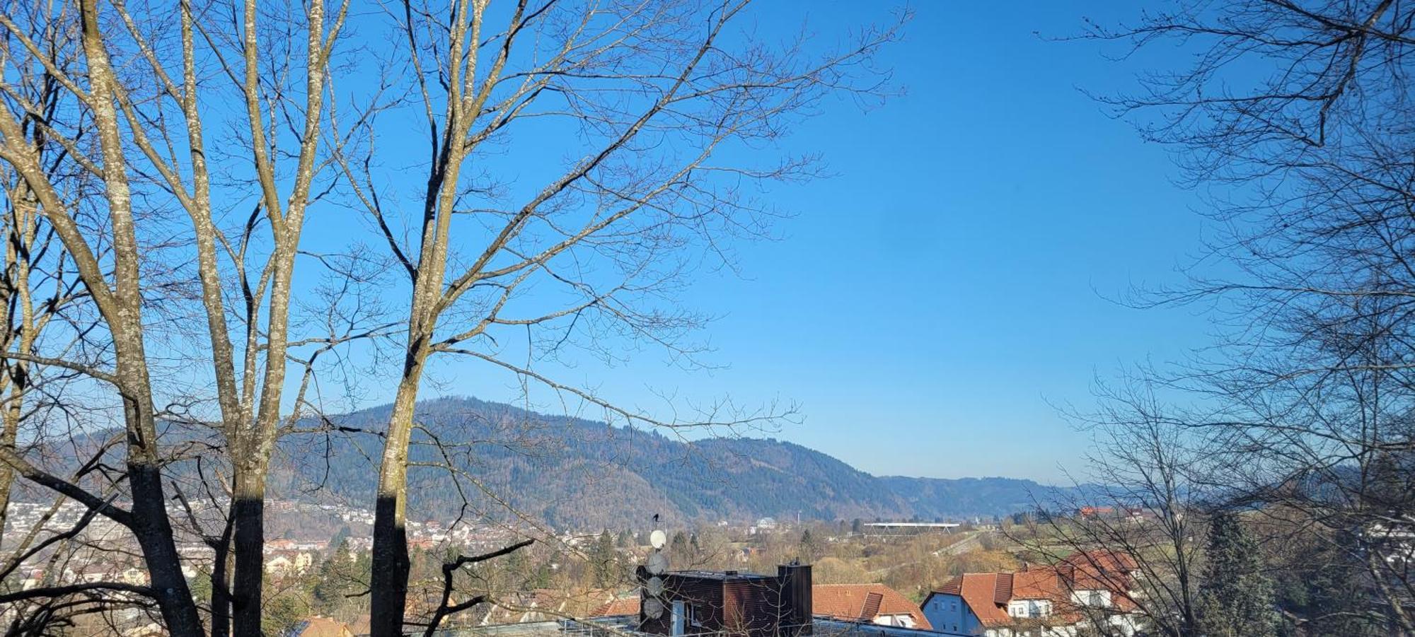 Am Wald Apartment Waldkirch Exterior photo